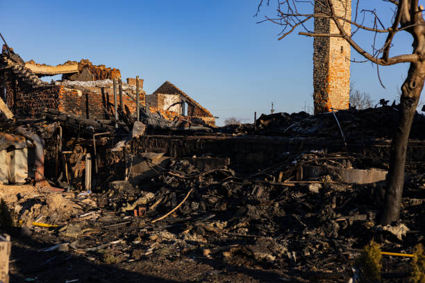 Reliable Content Restoration contractor in Anna Maria, FL by Fire Damage Doption